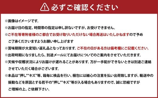 ぶどう 2026年 先行予約 シャイン マスカット 2房 合計1.4kg以上 【2026年9月上旬～9月下旬発送予定】 ／ ブドウ 葡萄 シャインマスカット 種なし 皮ごと 岡山県産 国産 フルーツ 果物 ギフト 河本農園 岡山県 美咲町 冷蔵
