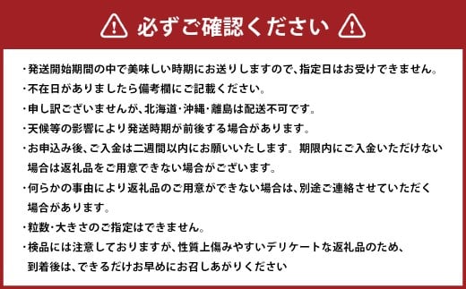 シャインマスカット 約2.0kg以上（2～5房）