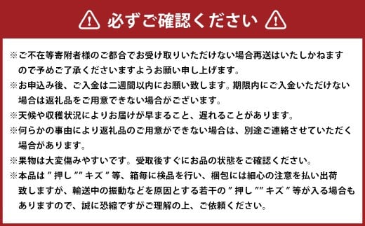 ぼっけえ大粒 ニューピオーネ 1房 （800g以上） 化粧箱入り 【2026年9月上旬～10月上旬迄発送予定／ 葡萄 ぶどう 果物 果実 フルーツ 種なし 大粒 岡山県 美咲町 冷蔵