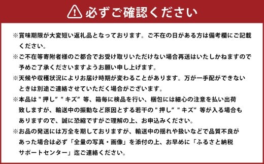 ご家庭用 シャインマスカット 晴王 約400g×1房 【2026年8月下旬～11月下旬迄発送】 ／ マスカット 葡萄 ぶどう 果物 果実 フルーツ 種なし 皮ごと 大粒 家庭用 岡山県 美咲町 冷蔵