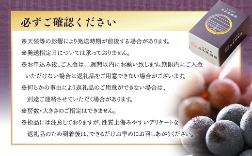 【定期便3回】 ［種なし］ 岡山県産 ニューピオーネ ・ クイーンニーナ ・ シャインマスカット 1kg箱（2房入り） 【2025年8月下旬発送開始】 ／ ぶどう ブドウ 葡萄 大粒 種なし 種無し フルーツ 果物 くだもの 果実