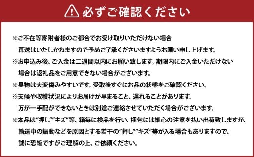 岡山県産 ぶどう詰合 ／ ニューピオーネ 1房 ・ シャインマスカット 晴王 1房 （各480g以上） 化粧箱入り 【2026年8月下旬-10月上旬迄発送予定】 ／ 葡萄 ぶどう マスカット 果物 果実 フルーツ 詰め合わせ 詰合せ 岡山県 美咲町 冷蔵