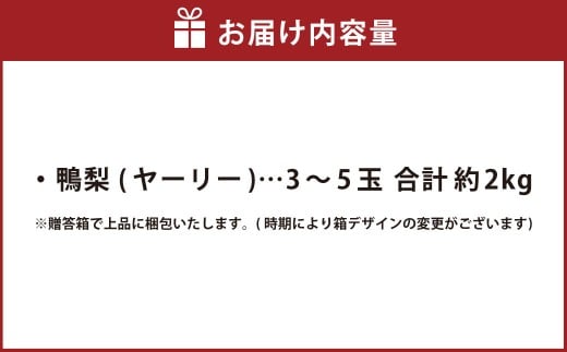 鴨梨 （ヤーリー） 3～5玉 約2kg 贈答箱 ／ 梨 なし ナシ 果物 【2025年11月下旬～12月下旬発送予定】