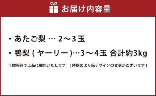 あたご梨 2～3玉 ・ 鴨梨 （ヤーリー） 3～4玉 詰合せ 合計約3kg 贈答箱 ／ 愛宕梨 梨 なし ナシ 果物 【2025年11月下旬～12月下旬発送予定】