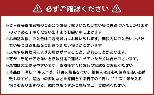 シャインマスカット 晴王 1房 （800g以上） 化粧箱入り 【2026年8月下旬～11月上旬迄発送予定】 ／ マスカット 葡萄 ぶどう 果物 果実 フルーツ 種なし 皮ごと 大粒 岡山県 美咲町 冷蔵