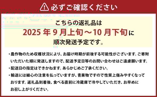 シャインマスカット 2房 約1.2kg 【2025年9月上旬～10月下旬発送予定】 ／ マスカット 葡萄 ブドウ 種無し 種なし