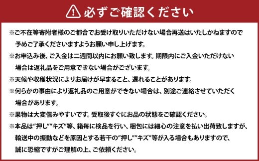 紫苑 1房（700g以上） 化粧箱入り 【2026年10月下旬～11月下旬まで発送予定】 ／ 葡萄 ぶどう 果物 果実 フルーツ 種なし 岡山県 美咲町 冷蔵