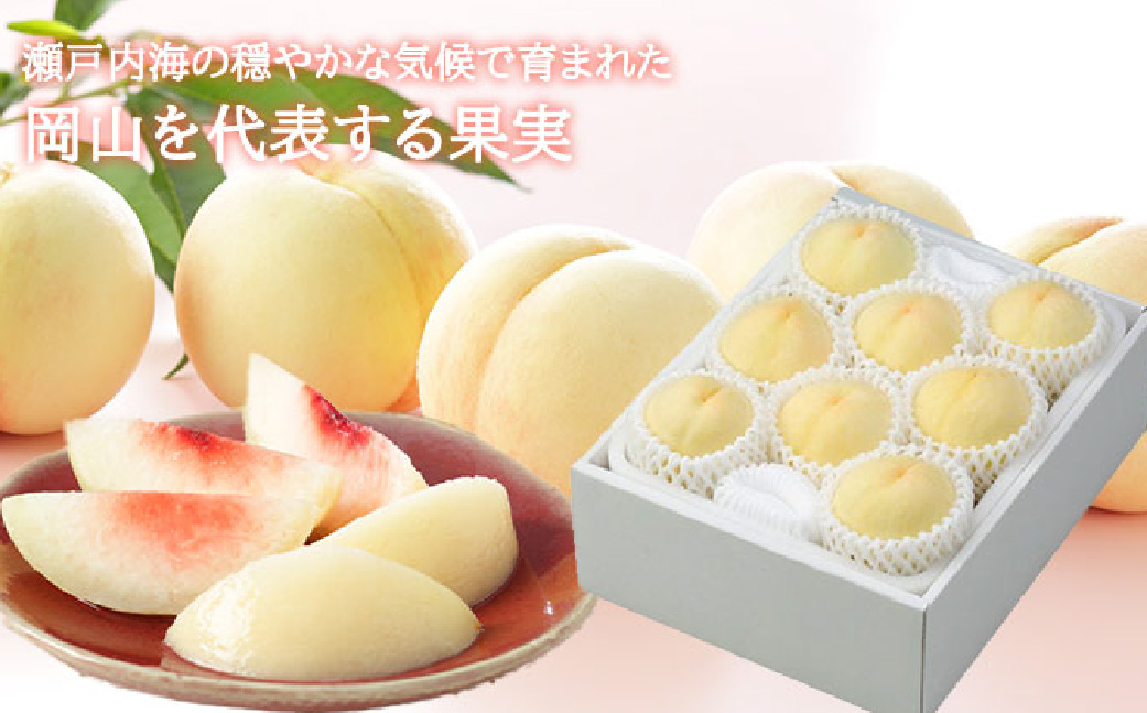 岡山白桃 ロイヤル 5～10玉 約2kg 岡山県産 （早生種・中生種） 【2026年7月上旬～8月下旬迄発送予定】 ／ 白桃 桃 もも 果物 果実 フルーツ 岡山県 美咲町 冷蔵