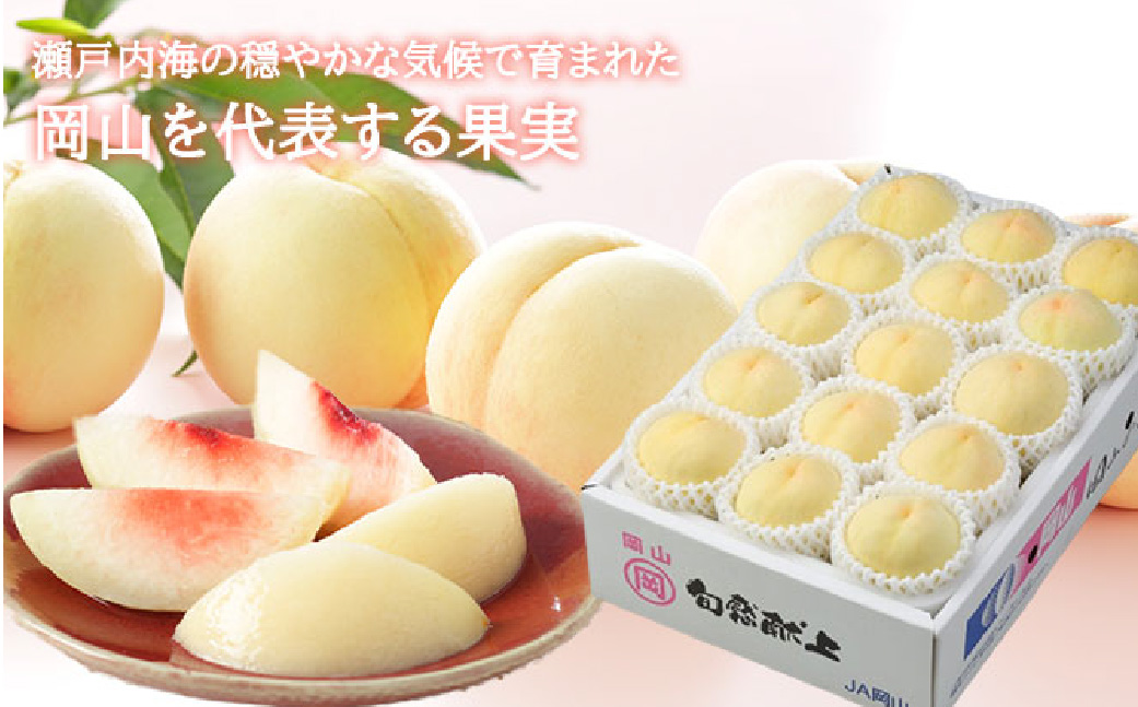 岡山白桃 ロイヤル 8～16玉 約4kg 岡山県産 （早生種・中生種） 【2026年7月上旬～8月下旬迄発送予定】 ／ 白桃 桃 もも 果物 果実 フルーツ 岡山県 美咲町 冷蔵