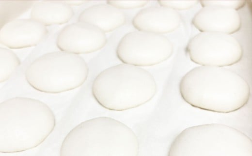 杵つき丸白餅 50g×10個入り 2袋 岡山県美咲町産 ／ 計約1kg 計20個 丸白餅 【6月-9月発送不可】