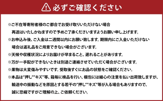 岡山県産 ぶどうパック詰合せ ※3種4パックセット （ ニューピオーネ ・ シャインマスカット ・ 旬のぶどう ） 【2026年9月上旬～10月下旬発送予定】 ／ ぶどう ブドウ 葡萄 種なし 種無し ピオーネ マスカット 晴王 はるお 旬の葡萄 フルーツ 果物 くだもの 果実