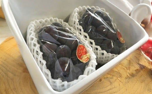 ぶどう 2026年 先行予約 ニュー ピオーネ 2房 合計1.2kg以上 【2026年8月下旬発送予定】 ／ ブドウ 葡萄 ニューピオーネ 岡山県産 国産 フルーツ 果物 ギフト 河本農園 岡山県 美咲町 冷蔵