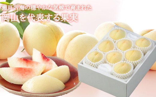 岡山白桃 エース 5～10玉 約2kg 岡山県産 （早生種・中生種） 【2026年7月上旬～8月下旬迄発送予定】 ／ 白桃 桃 もも 果物 果実 フルーツ 岡山県 美咲町 冷蔵