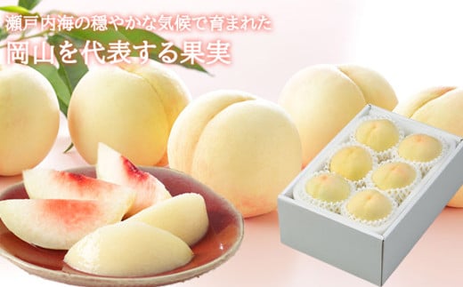 岡山白桃 エース 4～8玉 約1.2kg 岡山県産 （早生種・中生種） 【2026年7月上旬～8月下旬迄発送予定】 ／ 白桃 桃 もも 果物 果実 フルーツ 岡山県 美咲町 冷蔵