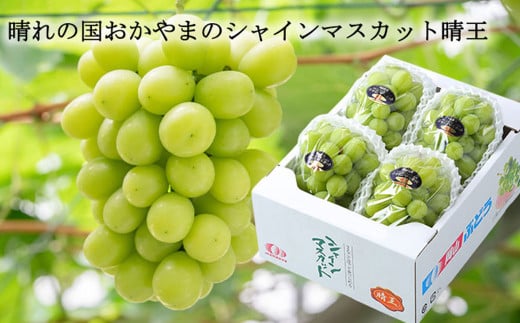 ご家庭用 シャインマスカット 晴王 3～6房 計約2kg 【2025年8月下旬～11月下旬迄発送】 ／ マスカット 葡萄 ぶどう 果物 果実 フルーツ 種なし 皮ごと 大粒 家庭用 岡山県 美咲町 冷蔵