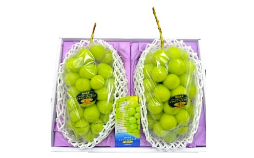 シャインマスカット 晴王 2房 （1房480g以上） 化粧箱入り 【2026年8月下旬～11月上旬迄発送予定】／ マスカット 葡萄 ぶどう 果物 果実 フルーツ 種なし 皮ごと 大粒 岡山県 美咲町 冷蔵