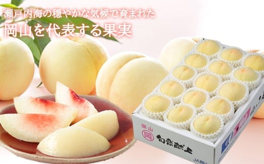 岡山白桃 エース 8～16玉 約4kg 岡山県産 （早生種・中生種） 【2026年7月上旬～8月下旬迄発送予定】 ／ 白桃 桃 もも 果物 果実 フルーツ 岡山県 美咲町 冷蔵