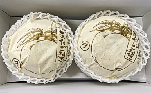 岡山県産 あたご梨 2玉 （約1.7kg） 化粧箱入り 【2025年11月下旬～12月下旬発送予定】 ／ なし 和梨 果物 果実 フルーツ 大玉 岡山県 美咲町 常温