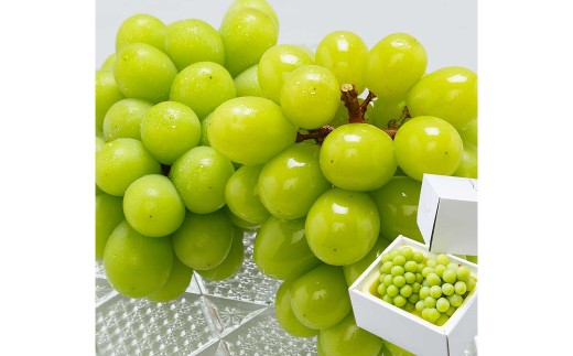 岡山県産 シャインマスカット『晴王』2房（1房600g以上） 化粧箱入り 【2026年8月下旬-10月上旬迄発送予定】 ／ マスカット 葡萄 ぶどう 果物 果実 フルーツ 岡山県 美咲町 冷蔵