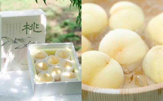 【2回定期便】 岡山白桃 （清水白桃orおかやま夢白桃） 4～6玉 （1.2kg以上） ＆ シャインマスカット 2房 （1kg以上） 【2026年7月下旬から順次発送予定】 ／ くだもの 果物 果実 フルーツ 桃 もも モモ 白桃 ピーチ ぶどう ブドウ 葡萄 マスカット 冷蔵 岡山県 美咲町