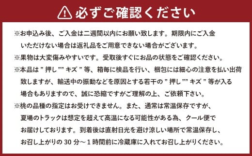 【3回定期便】岡山県産 フルーツ定期便コース （白桃 ・ ニューピオーネ ・ 晴王） 【2026年7月上旬発送開始】 ／ 3回 桃 もも 葡萄 ぶどう シャインマスカット マスカット 果物 果実 フルーツ 旬 定期便 岡山県 美咲町 冷蔵