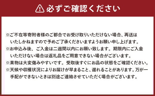 【2回定期便】岡山県産 フルーツ定期便コース（白桃 ・ シャインマスカット 晴王） 【2026年7月上旬発送開始】 ／ 2回 桃 もも マスカット 葡萄 ぶどう 果物 果実 フルーツ 旬 定期便 岡山県 美咲町 冷蔵
