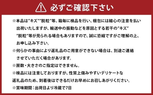 オーロラブラック 2kg ぶどう 葡萄 フルーツ 果物 岡山県 岡山県産 2026年 先行予約 【2026年8月上旬-9月下旬発送予定】