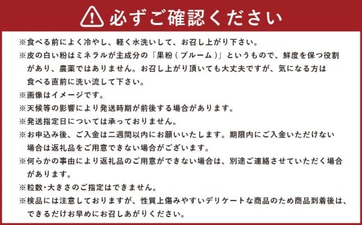 【 3回定期便 】 大粒ぶどうの詰合せ 約2kg×3回 計約6kg シャインマスカット マスカット ブドウ ぶどう 葡萄 果物 くだもの ピオーネ クイーンニーナ 定期便 詰合せ 大粒 【 2026年10月上旬～12月上旬迄発送予定 】