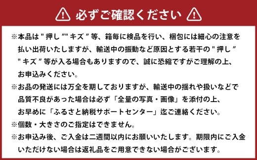 先行予約岡山県産ニューピオーネ 約2kg（3～6房）【2026年8月下旬～10月下旬まで順次発送予定】 葡萄 ぶどう ブドウ フルーツ 果物 冷蔵