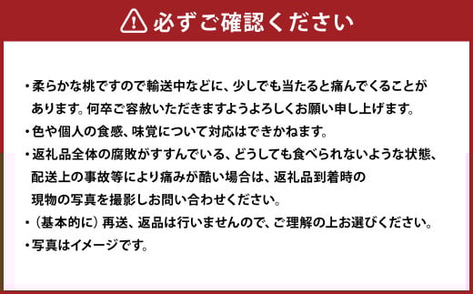 清水白桃 エース 3玉 約750g 【2025年7月上旬～7月下旬発送予定】 ／ 白桃 桃 もも モモ