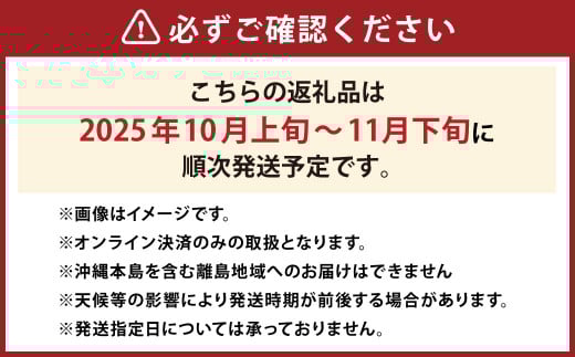 紫苑 2kg ぶどう 葡萄 フルーツ 果物 岡山県 岡山県産 2025年 先行予約 【2025年10月上旬-11月下旬発送予定】