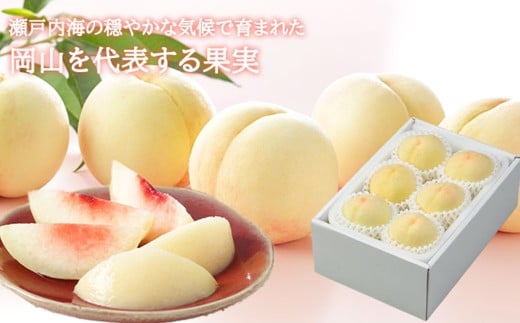 岡山白桃 ロイヤル 4～6玉 約1kg 岡山県産 （早生種・中生種） 【2026年7月上旬～8月下旬迄発送予定】 ／ 白桃 桃 もも 果物 果実 フルーツ 岡山県 美咲町 冷蔵
