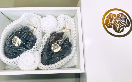 【先行予約】 岡山県産 ニューピオーネ 2kg 1箱 ／ ぶどう ブドウ フルーツ 【2026年8月下旬-9月下旬発送予定】