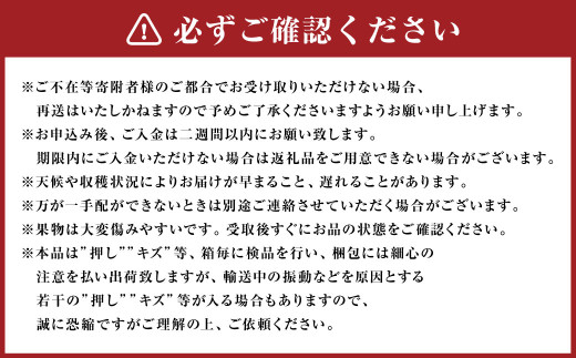 【3回定期便】岡山県産 フルーツ定期便コース （ニューピオーネ ・ 晴王 ・ あたご梨） 【2025年9月上旬発送開始】 ／ 3回 葡萄 ぶどう シャインマスカット マスカット 梨 なし 果物 果実 フルーツ 旬 定期便 岡山県 美咲町 冷蔵 常温