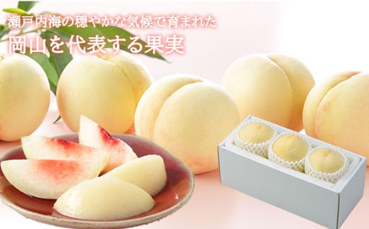 岡山白桃 エース 3玉 × 約200g 計約600g 岡山県産 （早生種・中生種） 【2026年7月上旬～8月下旬迄発送予定】 ／ 白桃 桃 もも 果物 果実 フルーツ 岡山県 美咲町 冷蔵