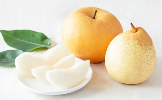 あたご梨 2～3玉 ・ 鴨梨 （ヤーリー） 3～6玉 詰合せ 合計約4kg 贈答箱 ／ 愛宕梨 梨 なし ナシ 果物 【2025年11月下旬～12月下旬発送予定】