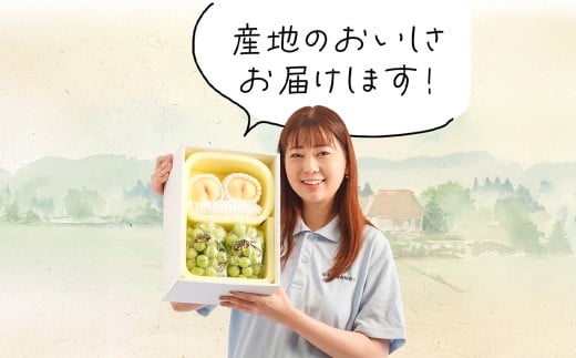 詰合 ／ 白桃 （1玉220g以上）2玉 ・ シャインマスカット 晴王（1房480g以上）2房 化粧箱入り 【2026年7月下旬～8月上旬迄発送予定】／ 桃 もも マスカット 葡萄 ぶどう 果物 果実 フルーツ 旬 詰め合わせ 詰合せ 岡山県 美咲町 冷蔵