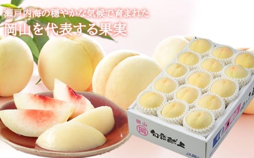 岡山白桃 ロイヤル 8～16玉 約4kg 岡山県産 （早生種・中生種） 【2026年7月上旬～8月下旬迄発送予定】 ／ 白桃 桃 もも 果物 果実 フルーツ 岡山県 美咲町 冷蔵