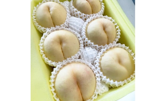 【先行予約】 岡山の白桃 ・ 瀬戸内白桃 1.5kg箱（約4個～6個） 【2025年8月下旬～2025年9月上旬発送予定】 ／ 桃 もも モモ はくとう せとうちはくとう 果物 くだもの フルーツ デザート 冷蔵