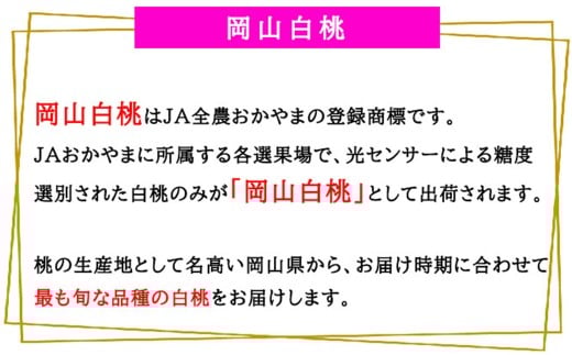 岡山白桃 ロイヤル 3玉 × 約200g 計約600g 岡山県産 （早生種・中生種） 【2026年7月上旬～8月下旬迄発送予定】 ／ 白桃 桃 もも 果物 果実 フルーツ 岡山県 美咲町 冷蔵