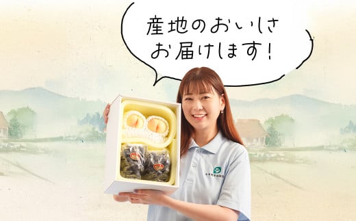 詰合 ／ 白桃 （1玉220g以上） 2玉 ・ ニューピオーネ （1房480g以上） 2房 化粧箱入り【2025年7月下旬～8月上旬発送予定】 ／ 桃 もも 葡萄 ぶどう 果物 果実 フルーツ 旬 詰め合わせ 詰合せ 岡山県 美咲町 冷蔵