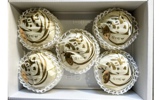 新高 梨 3～6玉 （約4kg） 化粧箱入り【2026年9月下旬～11月上旬迄発送予定】 ／ なし 和梨 果物 果実 フルーツ 大玉 岡山県 美咲町 常温