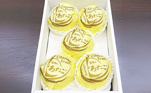 岡山県産 あたご梨 2玉 （約1.7kg） 化粧箱入り 【2025年11月下旬～12月下旬発送予定】 ／ なし 和梨 果物 果実 フルーツ 大玉 岡山県 美咲町 常温