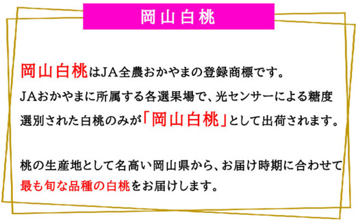 岡山白桃 エース 4～8玉 約1.2kg 岡山県産 （早生種・中生種） 【2026年7月上旬～8月下旬迄発送予定】 ／ 白桃 桃 もも 果物 果実 フルーツ 岡山県 美咲町 冷蔵