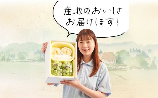 詰合 ／ 白桃 （1玉220g以上）2玉 ・ シャインマスカット 晴王（1房480g以上）2房 化粧箱入り 【2025年7月下旬～8月上旬発送予定】 ／ 桃 もも マスカット 葡萄 ぶどう 果物 果実 フルーツ 旬 詰め合わせ 詰合せ 岡山県 美咲町 冷蔵