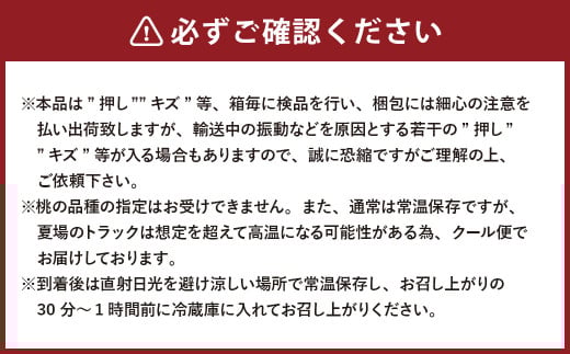 【2回定期便】岡山県産 フルーツ定期便コース（白桃 ・ シャインマスカット 晴王） 【2026年7月上旬発送開始】 ／ 2回 桃 もも マスカット 葡萄 ぶどう 果物 果実 フルーツ 旬 定期便 岡山県 美咲町 冷蔵