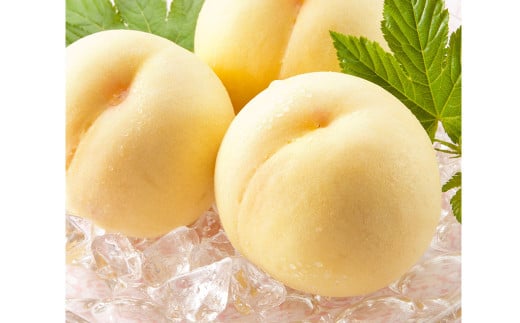 岡山白桃ロイヤル5玉（1.5kg以上） 化粧箱入り