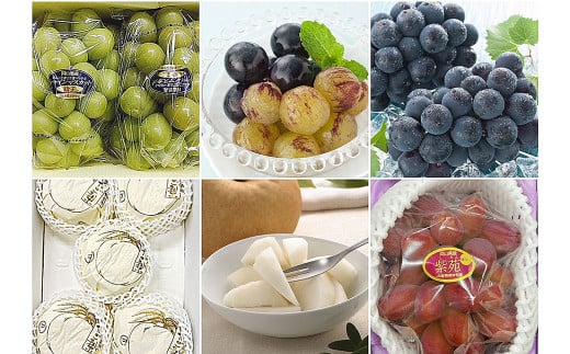 【果物定期便4回】（ニューピオーネ・晴王・紫苑・あたご梨）