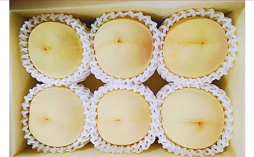 【桃定期便2回】（白桃・黄金桃）