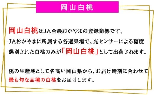 岡山白桃 エース 8～16玉 約4kg 岡山県産 （早生種・中生種） 【2026年7月上旬～8月下旬迄発送予定】 ／ 白桃 桃 もも 果物 果実 フルーツ 岡山県 美咲町 冷蔵